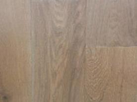 European Oak Shell Beach