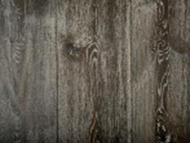 European Oak Trussel