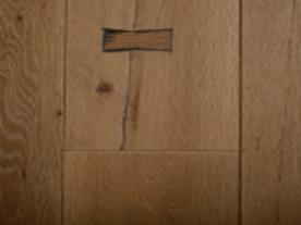 European Oak Vestige