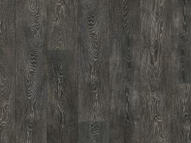 Olympus Contempo Oak