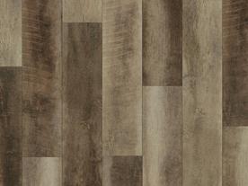 Shadow Lake Driftwood